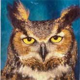 This great horned owl is watching you!